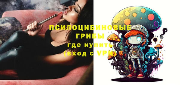 гидропоника Абаза