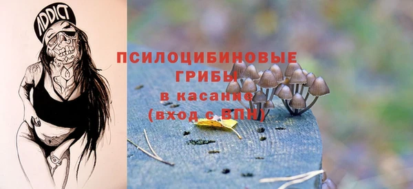 твердый Алзамай